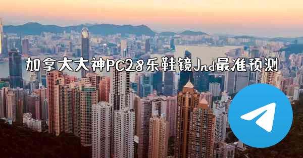 加拿大大神PC28乐鞋镜Jnd最准预测
