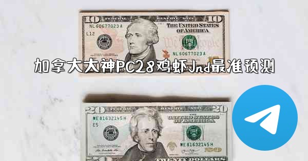 加拿大大神PC28鸡虾Jnd最准预测