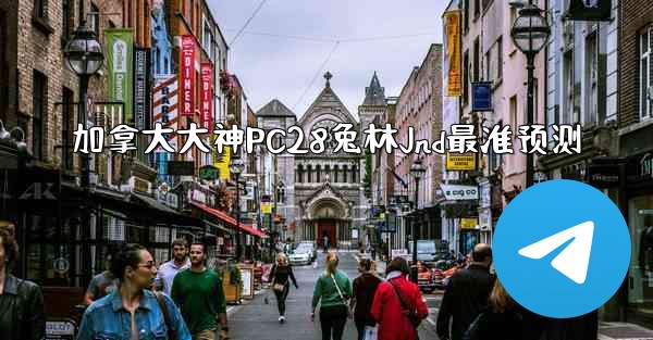 <b>加拿大大神PC28兔林Jnd最准预测</b>