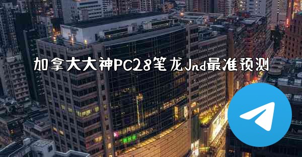 加拿大大神PC28笔龙Jnd最准预测