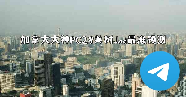加拿大大神PC28美树Jnd最准预测