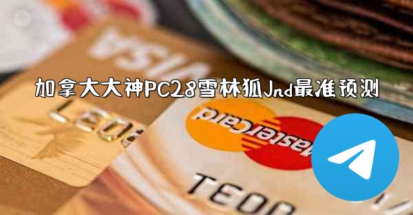 加拿大大神PC28雪林狐Jnd最准预测