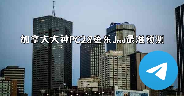 加拿大大神PC28鱼乐Jnd最准预测