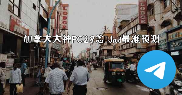 加拿大大神PC28念鹅Jnd最准预测