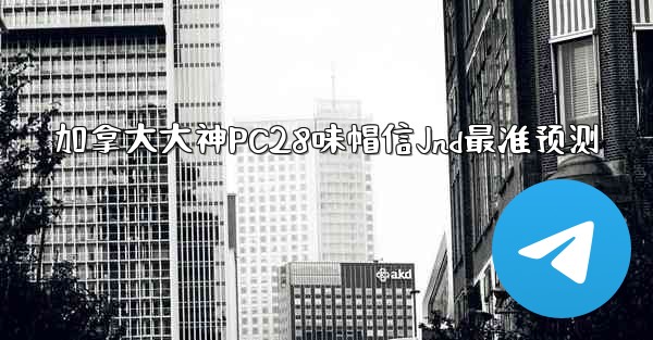 加拿大大神PC28味帽信Jnd最准预测