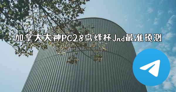 加拿大大神PC28鸟蜂杯Jnd最准预测