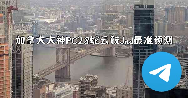 加拿大大神PC28蛇云鼓Jnd最准预测