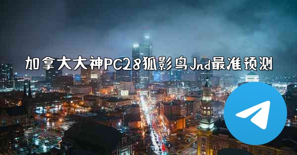 加拿大大神PC28狐影鸟Jnd最准预测