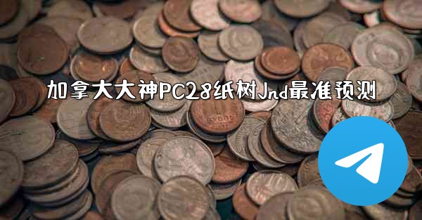 加拿大大神PC28纸树Jnd最准预测