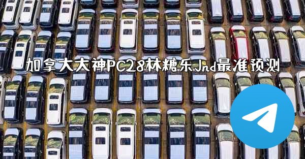 加拿大大神PC28林糖乐Jnd最准预测