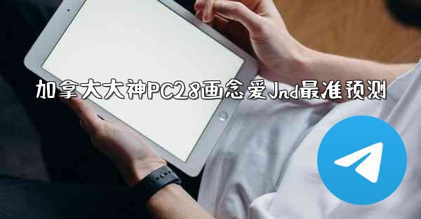 加拿大大神PC28画念爱Jnd最准预测