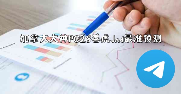 加拿大大神PC28善虎Jnd最准预测