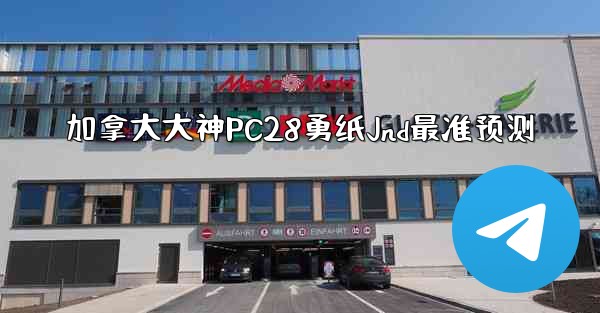 加拿大大神PC28勇纸Jnd最准预测