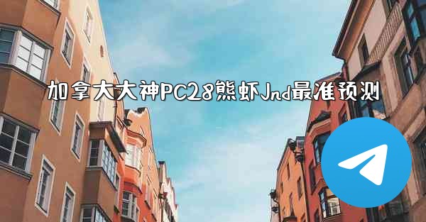 加拿大大神PC28熊虾Jnd最准预测