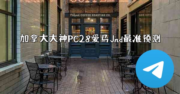 加拿大大神PC28爱马Jnd最准预测