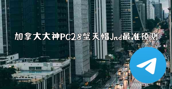 加拿大大神PC28蟹天帽Jnd最准预测