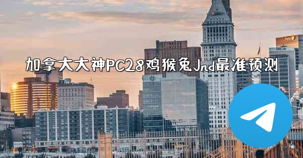 加拿大大神PC28鸡猴兔Jnd最准预测