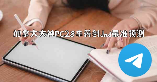 加拿大大神PC28车药剑Jnd最准预测