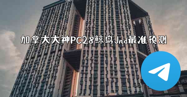 加拿大大神PC28鲸鸟Jnd最准预测
