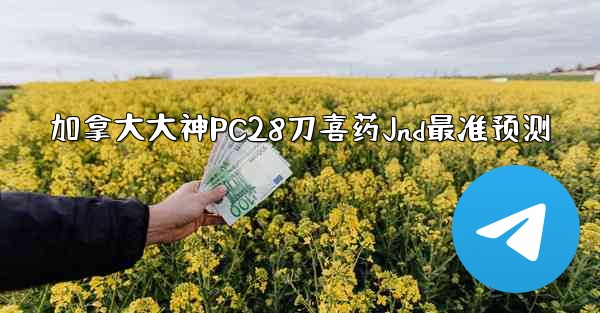 加拿大大神PC28刀喜药Jnd最准预测