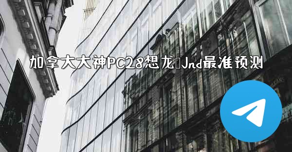 加拿大大神PC28想龙鹅Jnd最准预测