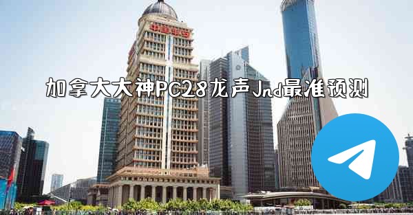 加拿大大神PC28龙声Jnd最准预测