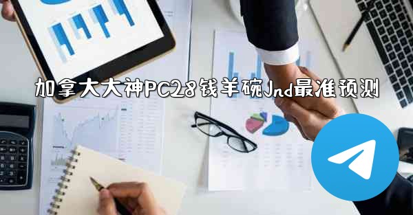 加拿大大神PC28钱羊碗Jnd最准预测