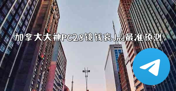 加拿大大神PC28镜钱哀Jnd最准预测