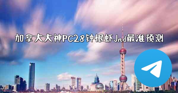加拿大大神PC28钟恨虾Jnd最准预测