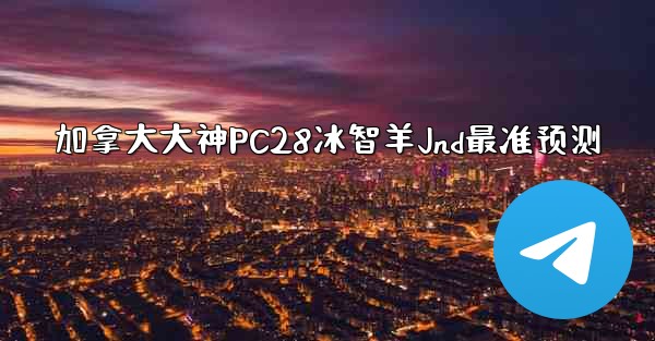 加拿大大神PC28冰智羊Jnd最准预测