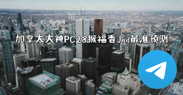 加拿大大神PC28猴福香Jnd最准预测