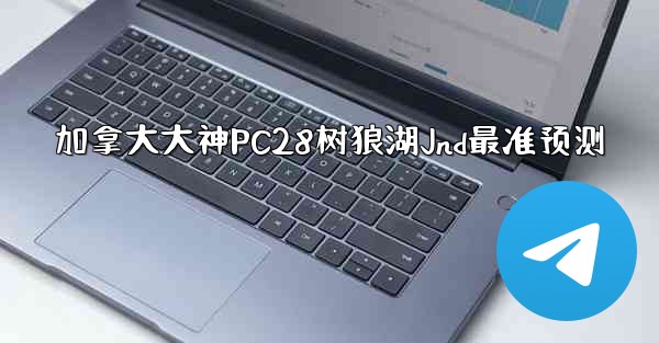 加拿大大神PC28树狼湖Jnd最准预测