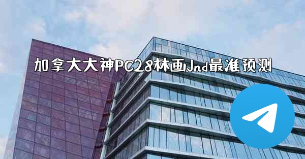 加拿大大神PC28林画Jnd最准预测