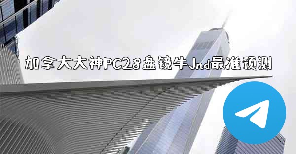 加拿大大神PC28盘镜牛Jnd最准预测