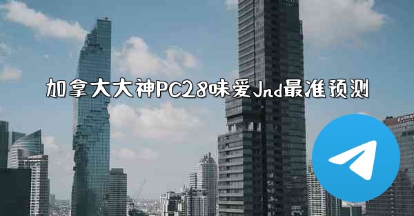 加拿大大神PC28味爱Jnd最准预测