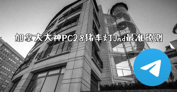 加拿大大神PC28猪车灯Jnd最准预测