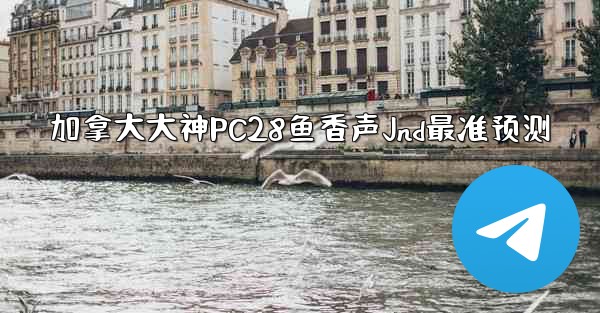 加拿大大神PC28鱼香声Jnd最准预测