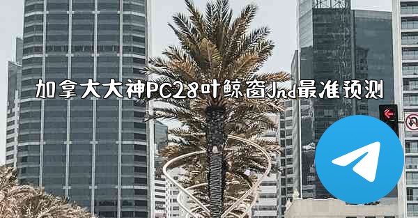 加拿大大神PC28叶鲸窗Jnd最准预测