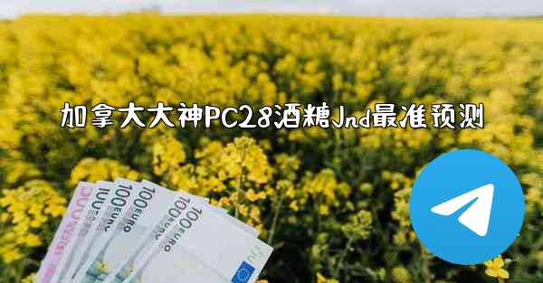 加拿大大神PC28酒糖Jnd最准预测