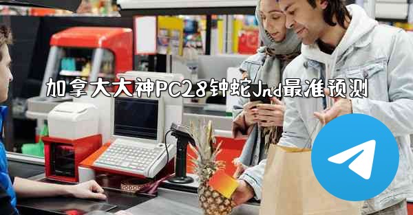 加拿大大神PC28钟蛇Jnd最准预测