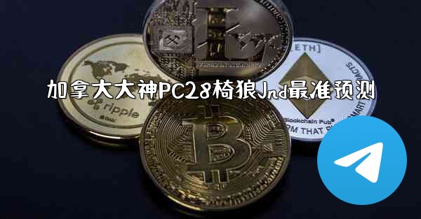<b>加拿大大神PC28椅狼Jnd最准预测</b>