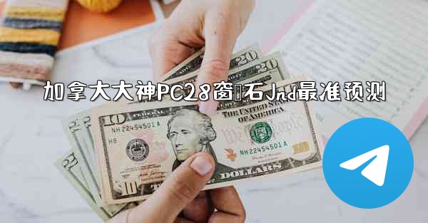 加拿大大神PC28窗鸭石Jnd最准预测