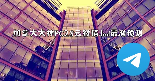 加拿大大神PC28云猴猫Jnd最准预测