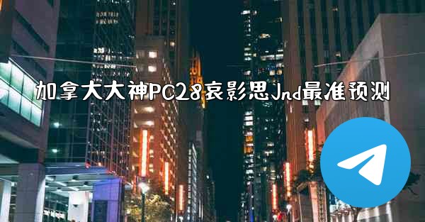加拿大大神PC28哀影思Jnd最准预测