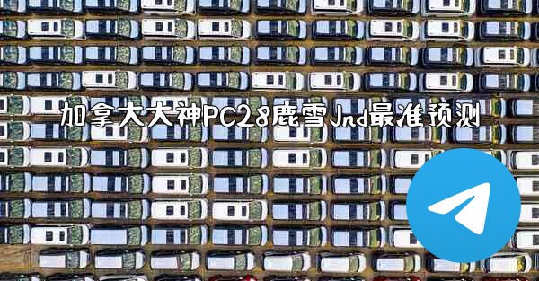 加拿大大神PC28鹿雪Jnd最准预测