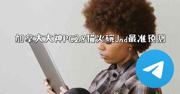 加拿大大神PC28猫火碗Jnd最准预测