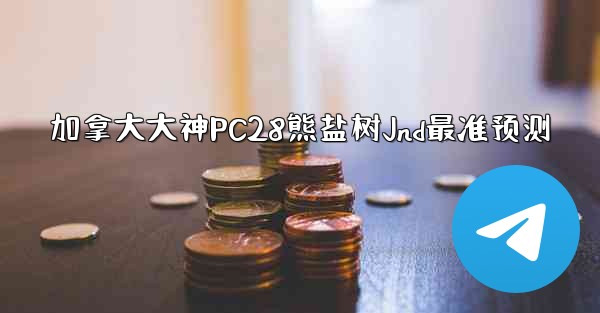 加拿大大神PC28熊盐树Jnd最准预测