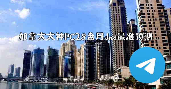 加拿大大神PC28盘月Jnd最准预测