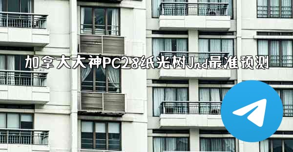 加拿大大神PC28纸光树Jnd最准预测