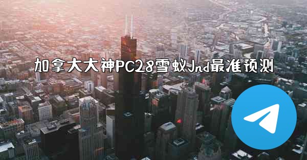 加拿大大神PC28雪蚁Jnd最准预测